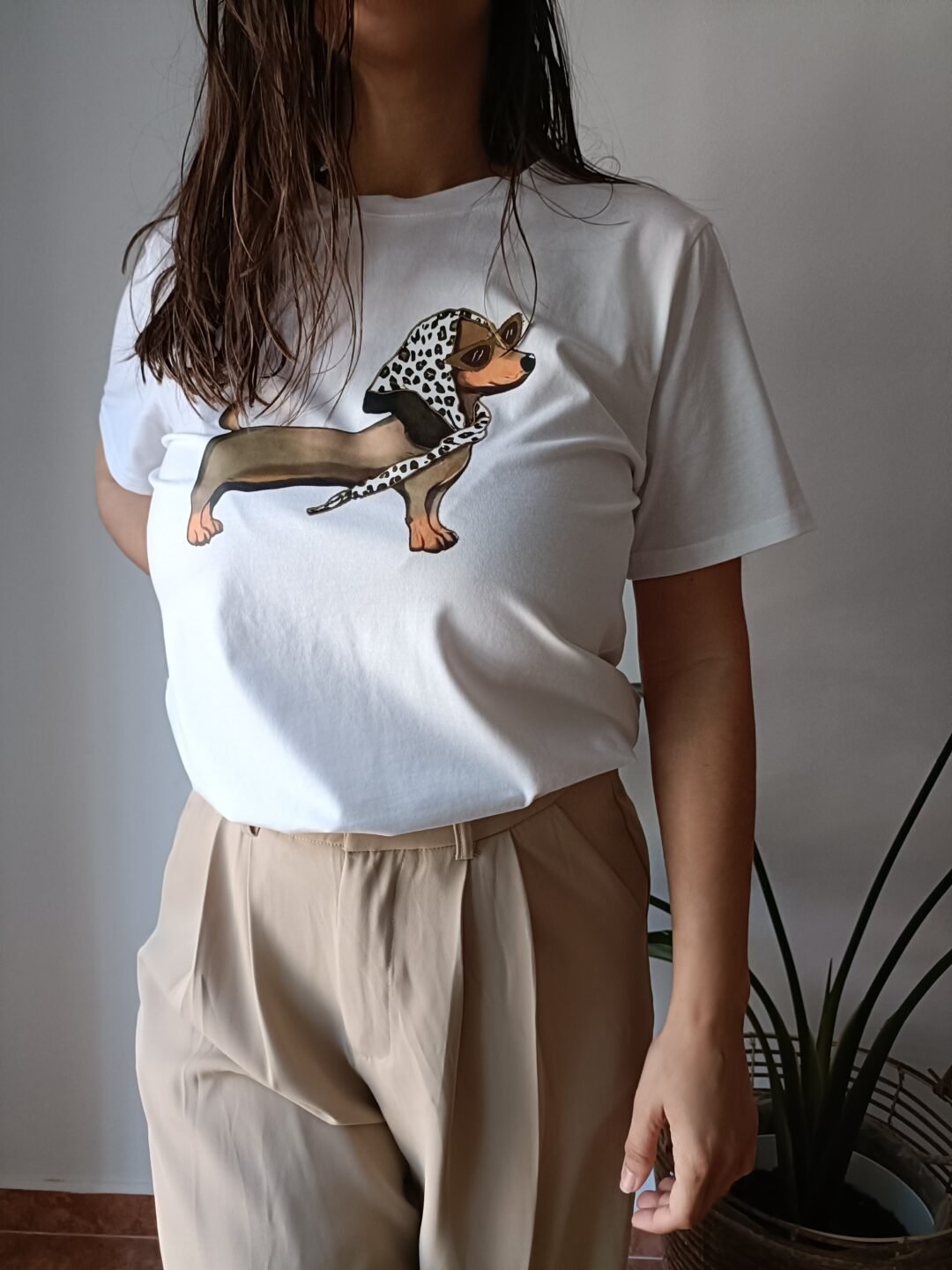 camiseta, manga corta, teckel, ropa verano